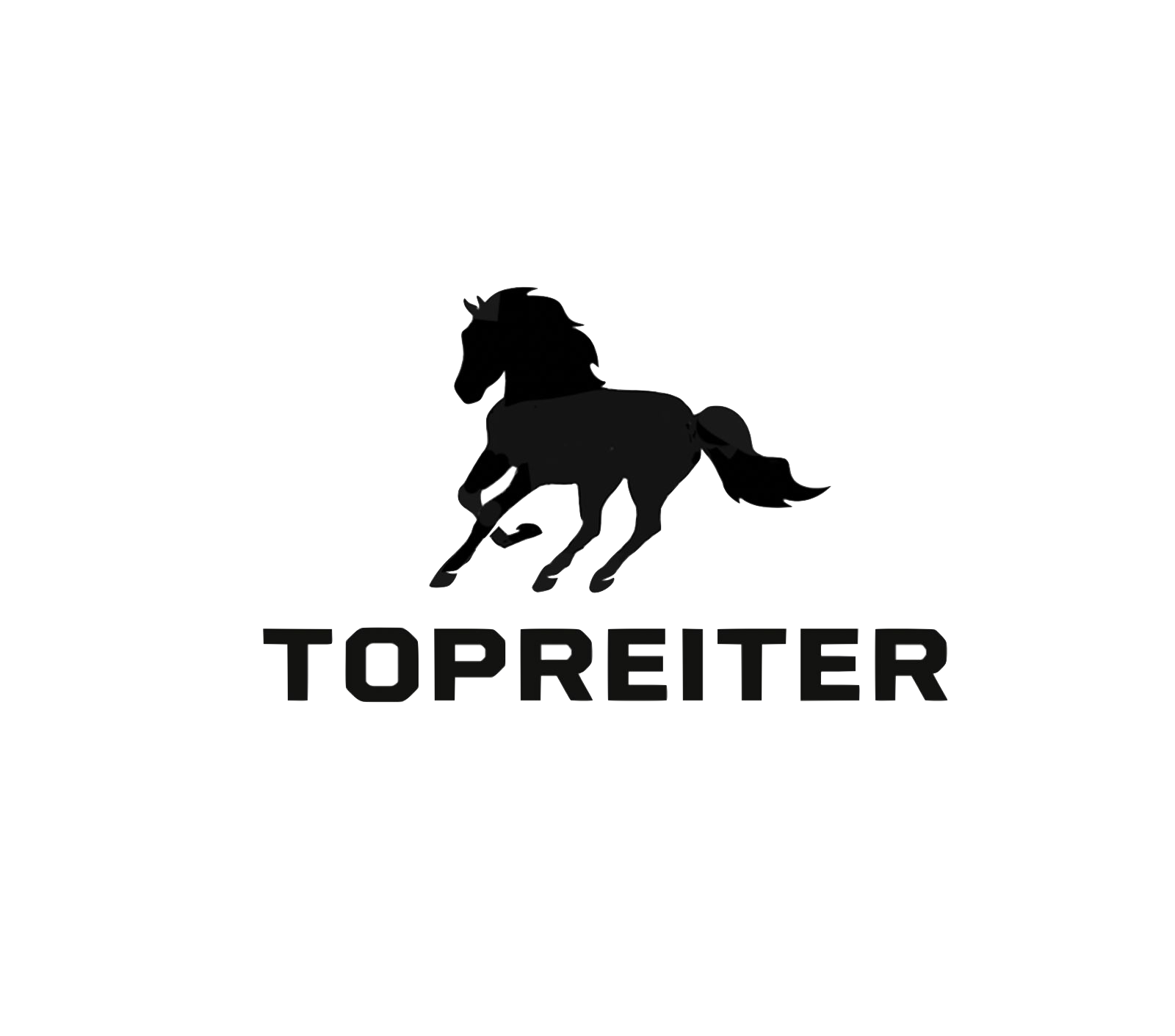 Portfolio picture template